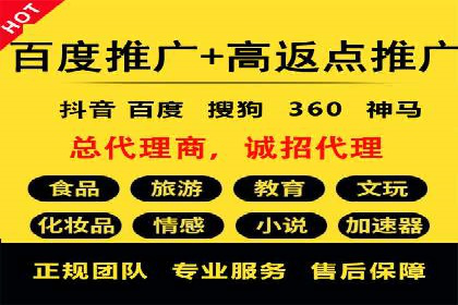 行业领先的SEM竞价广告投放案例